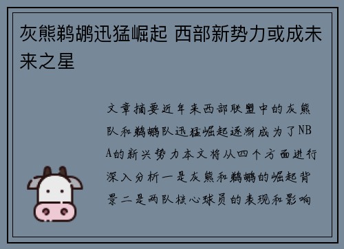 灰熊鹈鹕迅猛崛起 西部新势力或成未来之星